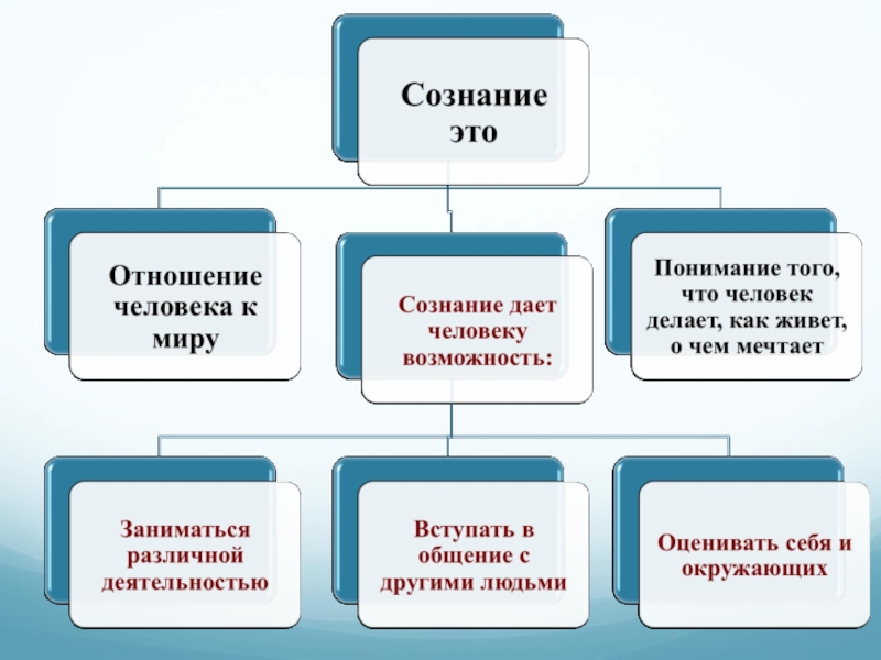 Обществознание 6 класс человек личность ответы