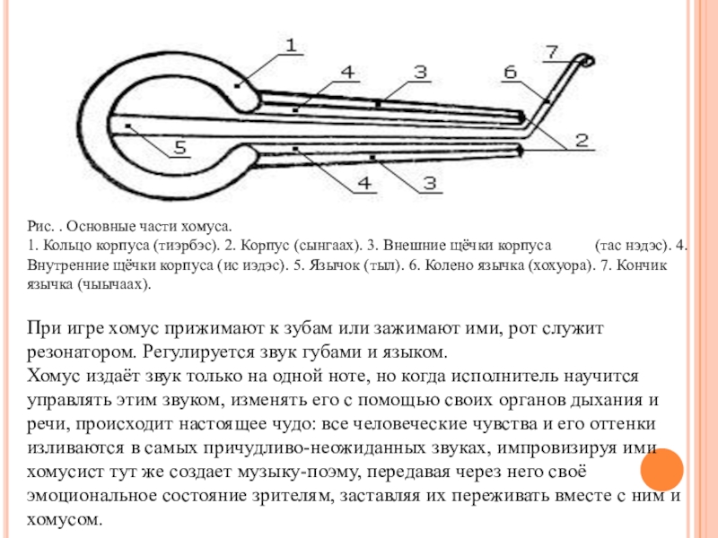 Варган чертеж с размерами