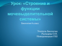 Презентация по биологии Строение и функции мочевыделительной системы