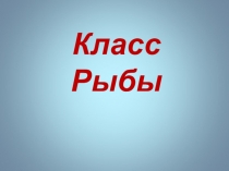 Презентация Костные рыбы к уроку биологии в 5 классе.