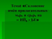 Презентация по русскому языку Склонение имён прилагательных