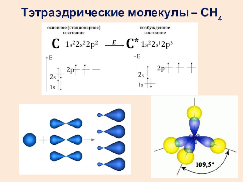 Запишите схемы образования ковалентных связей в молекулах метана сн4 и тетрахлорметана