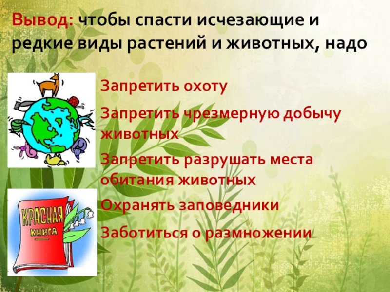 План конспект красная книга