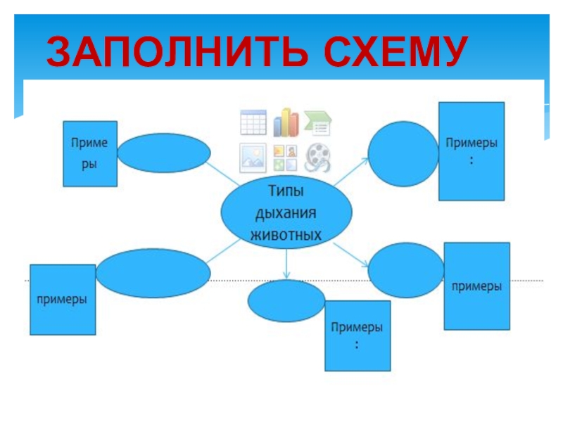 Заполните схему проектная деятельность содержит вставьте свою заполненную схему а образец удалите