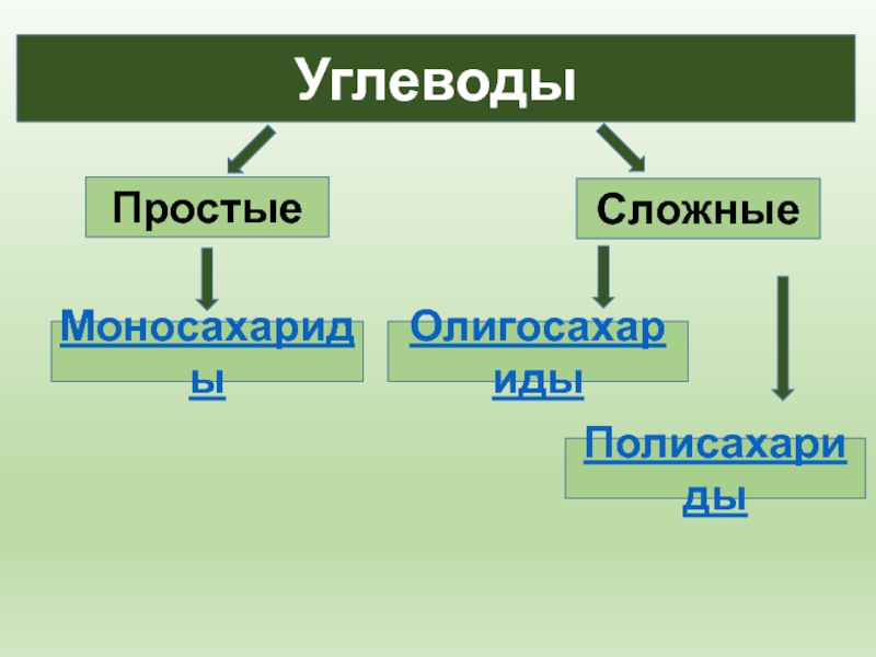 Проект на тему углеводы 10 класс