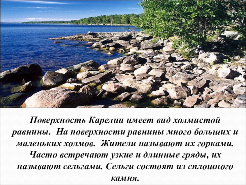 Класс карелии. Карелия поверхность края. Основные сведения о поверхности Карелии. Поверхность Карелии 4 класс. Основные сведения о поверхности Карелии для 4 класса.