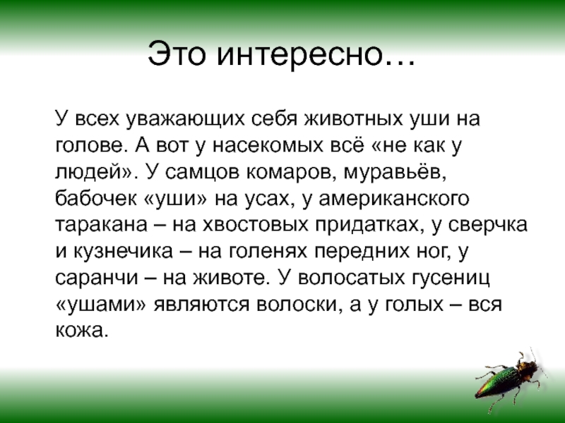 Слух человека и животных сравнительная характеристика проект по обж 5 класс