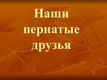 Презентация по окружающему миру на тему Птицы 2 класс