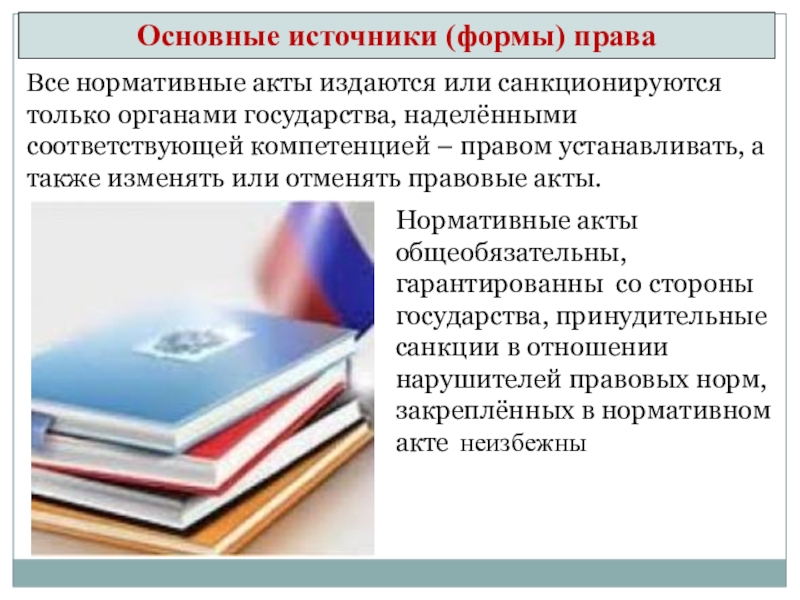 Какие нормативные акты издает правительство. Правовое обеспечение. Правовой. Источники права презентация. Правовое обеспечение ИС.