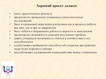 Лекции по математике: еще раз о проектных технологиях