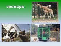 Презентация урока в 1 классе по обучению грамоте (чтение + окружающий мир) Закрепление изученных букв. Путешествие в Ленинградский зоопарк