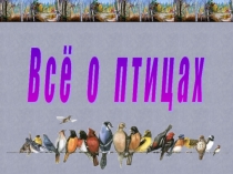 Птицы. Всё о птицах. (2 класс)