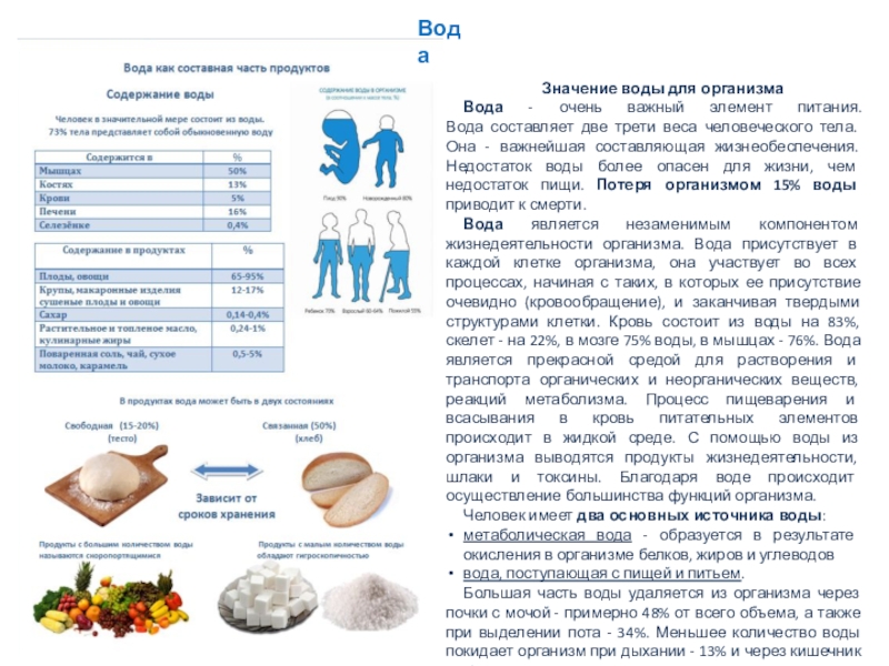 Содержание воды в супах