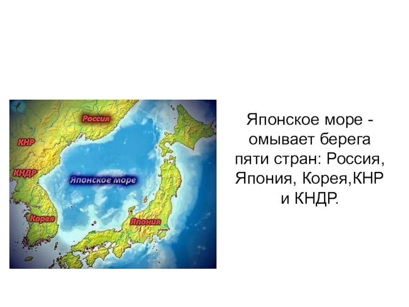 Какие моря омывают берега китая. Что омывает японское море. Японское море географическое положение в России. Японское море на карте. Моря омывающие Японию.