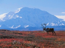 Природные зоны Земли 1 часть