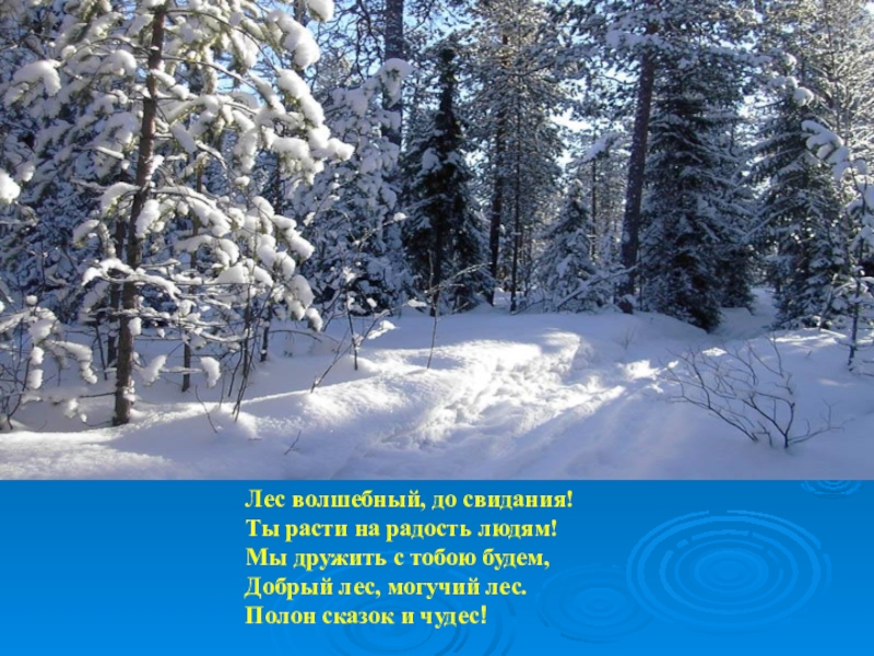 Презентация зимний лес. Четверостишье на тему зимний лес. Стихи про леса. Зимний лес для презентации. Стихотворение про лес.