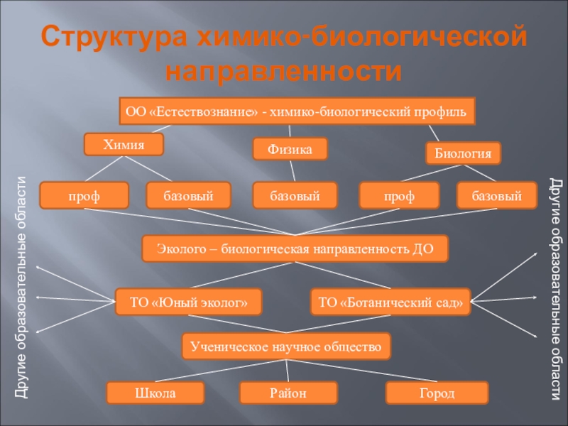 Химико биологический. Химико биологическая направленность. Химико биологическое направление профессии. Химико физическая биология направления. Класс химико -биологической направленности.