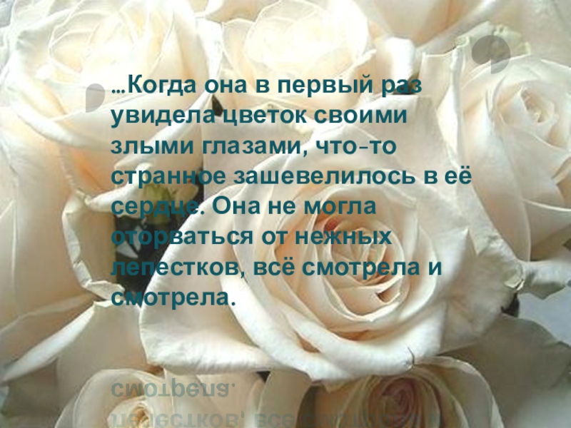 Чтение сказка о жабе и розе. Вопросы к сказке о жабе и Розе. План по сказке о жабе и Розе. Сказка о жабе и Розе вопросы и ответы. План по сказке о жабе и Розе 4 класс.