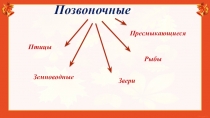 Презентация по окружающему миру Млекопитающие