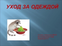 Презентация к уроку технологии в 6 классе по теме: Уход за одеждой и обувью