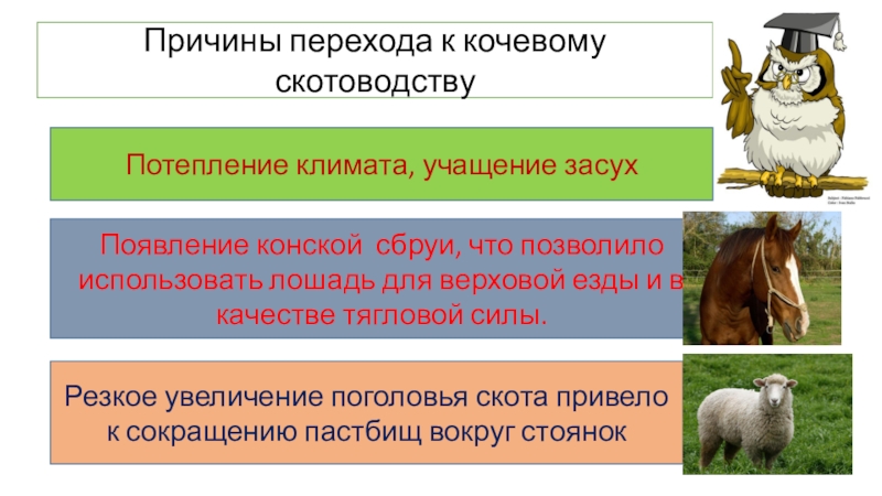 Ценности кочевой цивилизации презентация