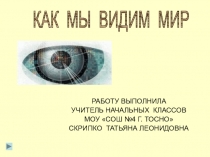 Урок по окружающему миру в 4 классе по теме Зрение. Гигиена зрения