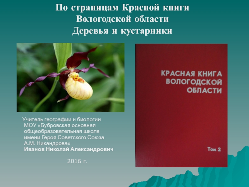 Охраняемые растения вологодской области фото и описание