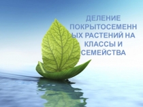 Презентация по теме: Деление на классы и семейства для СПО