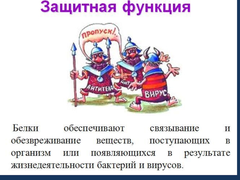 Защитная функция. Защитная функция белков. Защитная функция примеры. Защитная функция белков состоит в. Защитная функция белков рисунок.