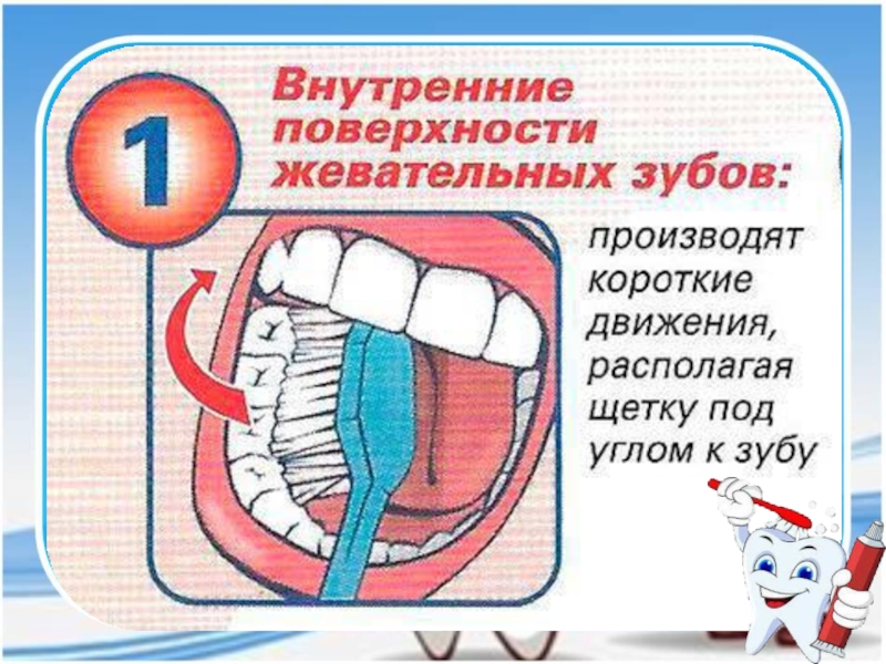 Почему нужно чистить зубы и мыть руки 1 класс презентация конспект