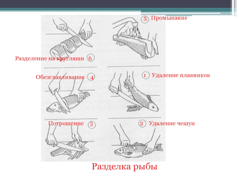 Составьте схему обработки мелкой чешуйчатой рыбы кратко