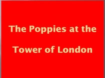 Презентация Holidays in Britain - Remembrance Day