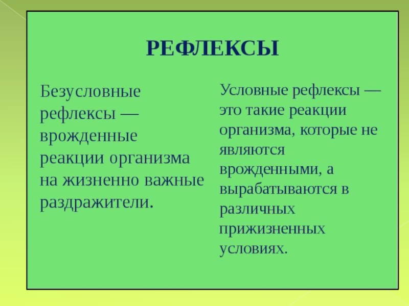 Какие безусловные. Условные и безусловные рефлексы кратко. Условные и без условние рефлекси.. Услонвеы и безусловные рефл. Условнве и безуслоанве реыоексы.