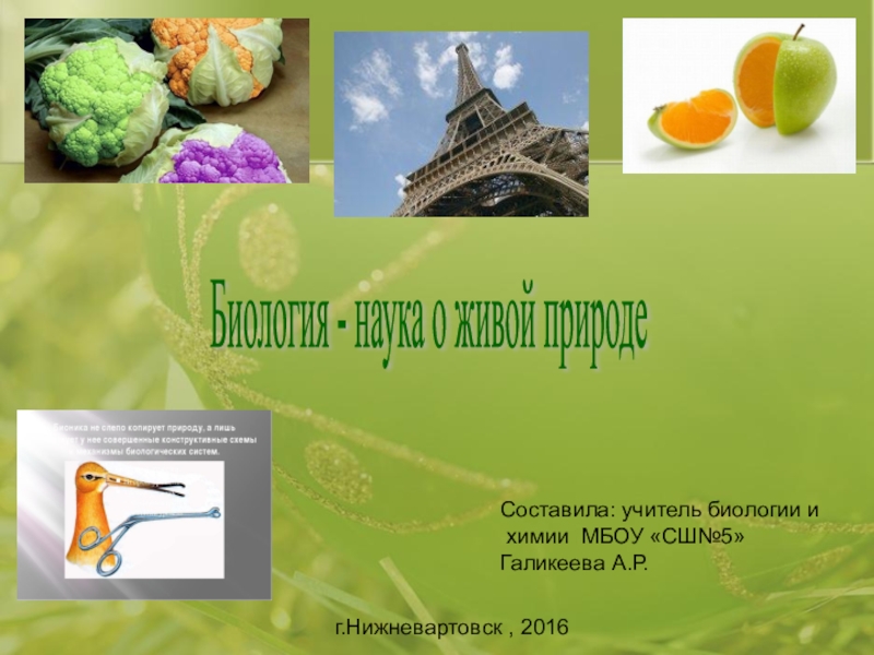 Презентация биология наука о живой природе 6 класс