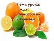 Презентация по биологии на тему плоды и их разнообразие