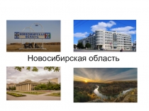 Презентация по географии на тему Мой регион - Новосибирская область ( 8 класс)