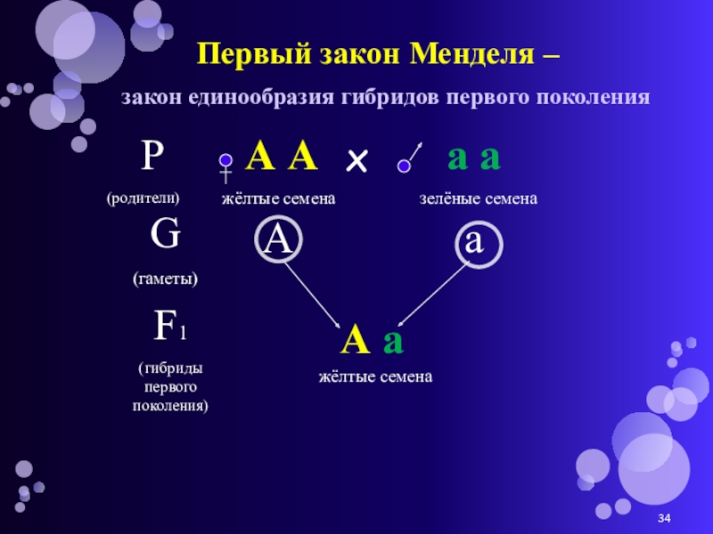 Схемы скрещивания законов менделя 1 2 законов