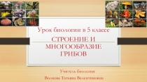 Презентация к уроку Грибы 5 класс