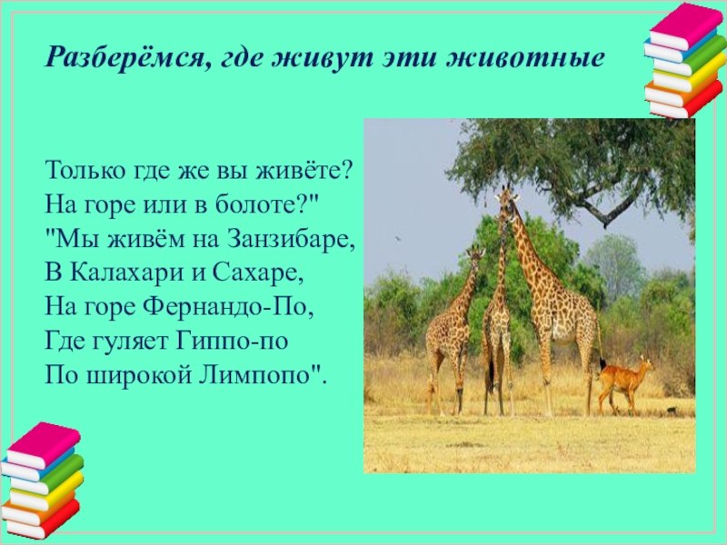 Разберёмся, где живут эти животныеТолько где же вы живёте?На горе или в болоте?