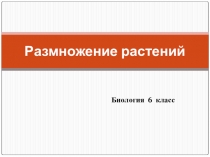 Презентация по теме Размножение растений, биология 6 класс