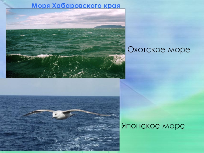 В хабаровске есть море