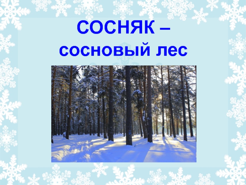 2 класс есенин поет зима аукает. Есенин зима. Есенин зимний лес. Есенин про зиму 2 класс. Зима в лесу литературное чтение.