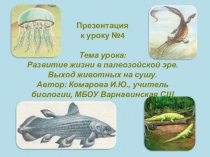 Презентация по биологии к уроку Развитие жизни в палеозойской эре. Выход животных на сушу.