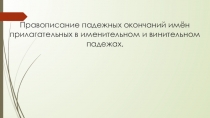 Презентация по русскому языку на тему  Правописание имён прилагательных в именительном, винительном и родительном падеже