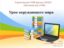 Презентация к уроку окружающего мира 2 класс на тему Труд в семье