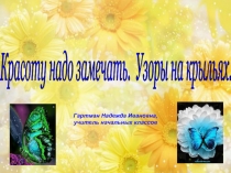 Презентация к уроку ИЗО по теме Узоры на крыльях.