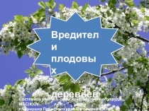 Презентация по сельскохозяйственному труду на тему Вредители плодовых деревьев (8 класс)