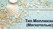 Презентация Общая характеристика моллюсков