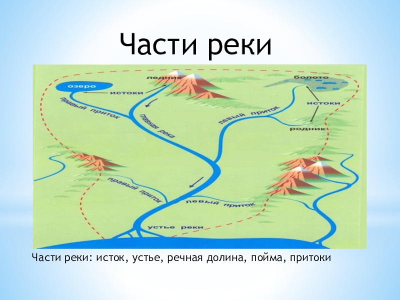 Соотнеси части речной системы с точками на изображении география 6 класс