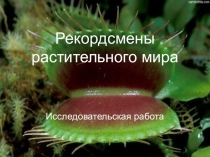 Презентация Растения - рекордсмены растительного мира
